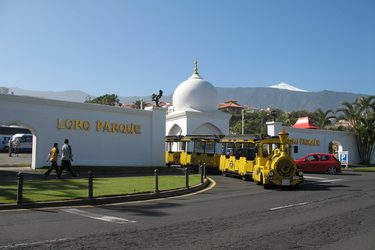 Loro Parque