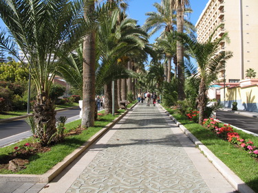 Paseo de las Palmeras [the Palm Tree Promenade]