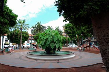 Plaza del Charco. [Pool Square]