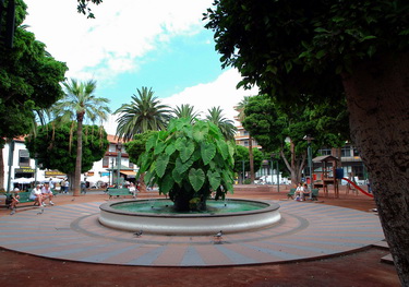Plaza del Charco. [Pool Square]